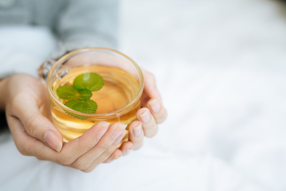 10 Benefícios do Chá de Boldo para Saúde
