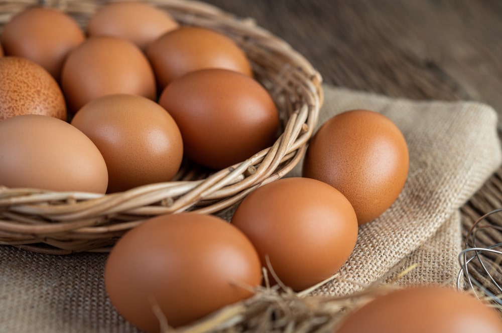 Quem Tem Colesterol Alto Pode Comer Ovo?